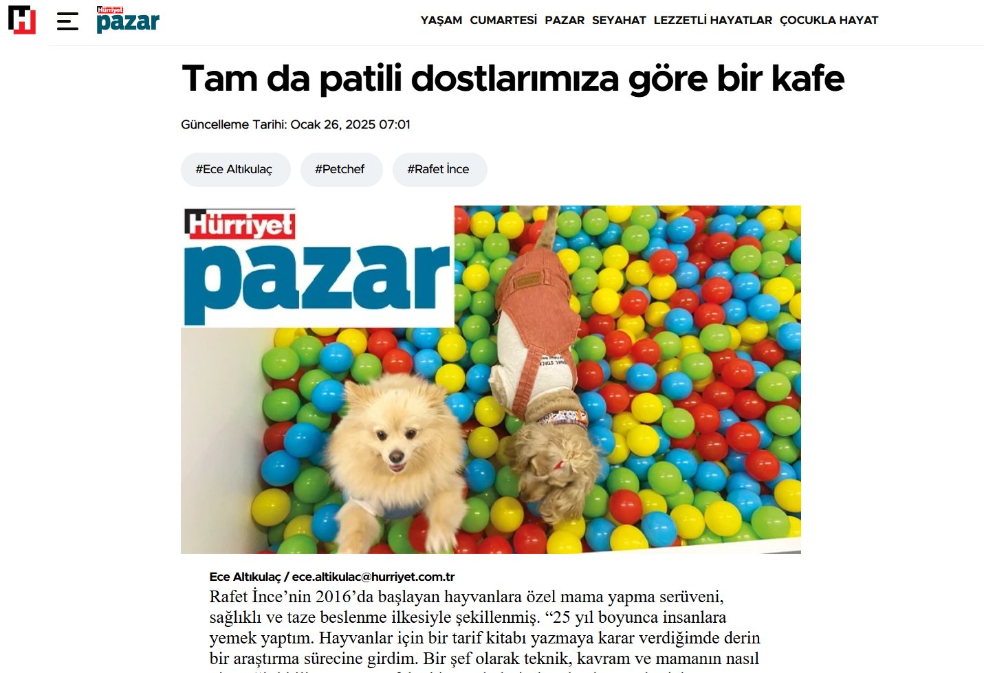 basinbiz-2.jpg